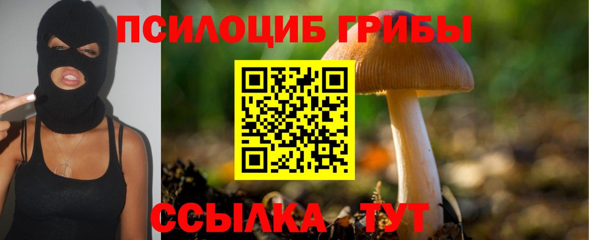 Грязи  Псилоцибиновые грибы Psilocybe  Вход с VPN  как найти закладки  Псилоцибиновые грибы мухоморы 